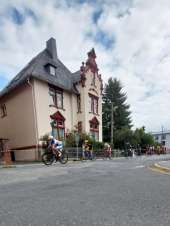 Galeriebild