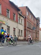 Galeriebild