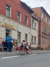 Galeriebild