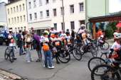Galeriebild